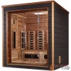 3 Person Hybrid Outdoor/Indoor Sauna