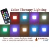 Color Therapy Interior Ceiling Light with Remote